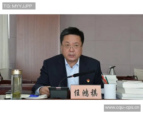 法律视角下的社会治理创新与司法公正发展路径研究