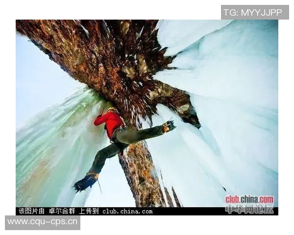 杭州极限运动队与上海极限运动队赛后战术分析与复盘探讨 杭州极限运动队与上海极限运动队赛后战术分析与复盘探讨