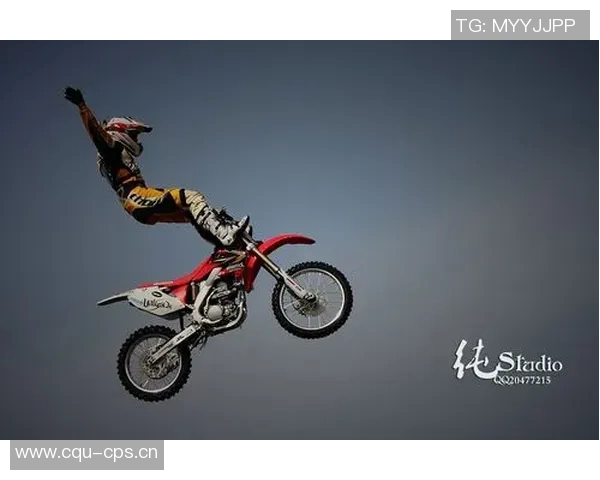 上海极限运动队状态分析与表现评估探讨